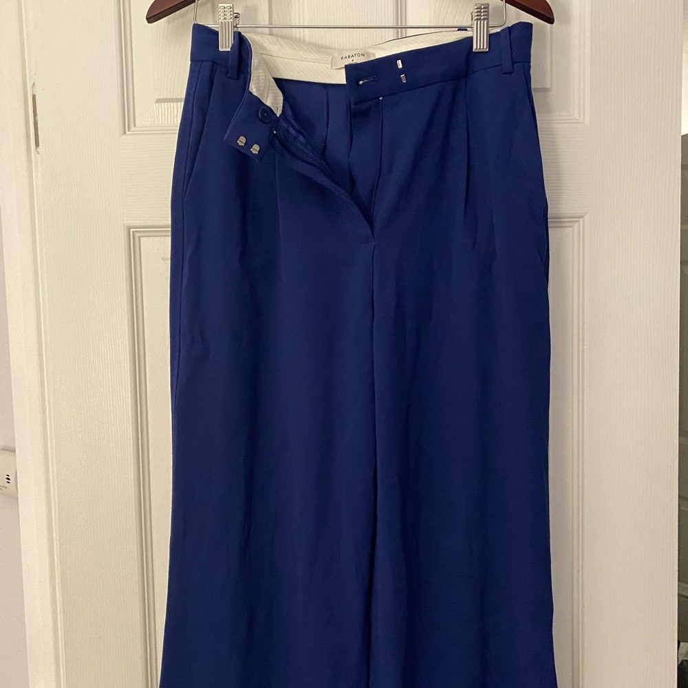 Babaton Aritizia pants